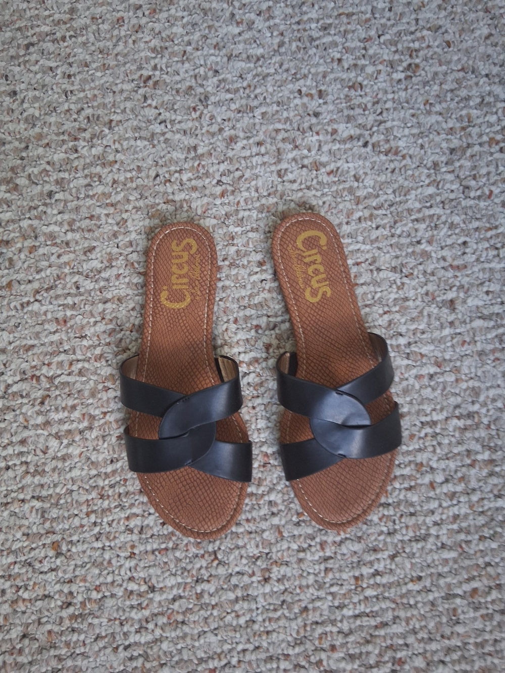 Circus by Sam Edelman Clover Black Braided Leather Slide Sandals Size 8.5